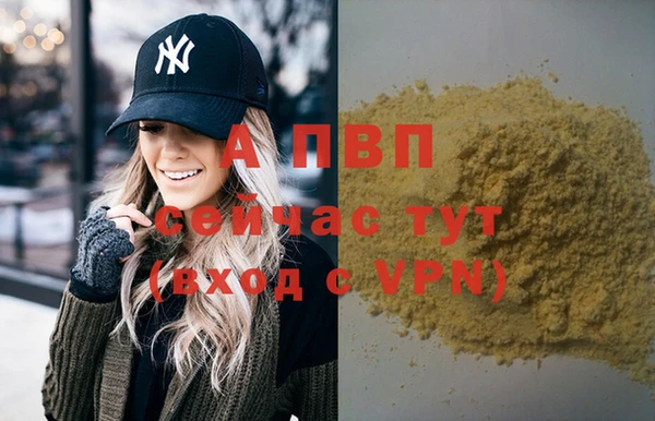 твердый Балахна