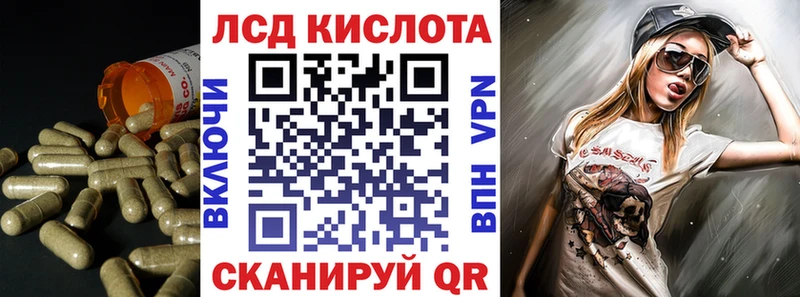 kraken   Долгопрудный  Лсд 25 экстази кислота  купить  цена 
