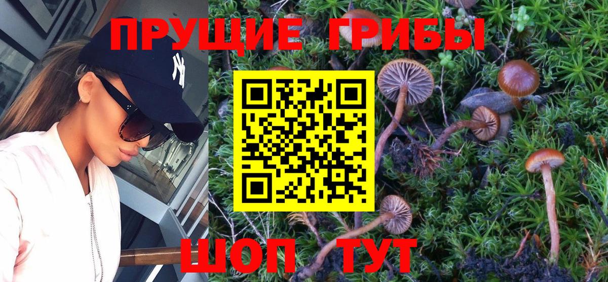 Галлюциногенные грибы мицелий Долгопрудный