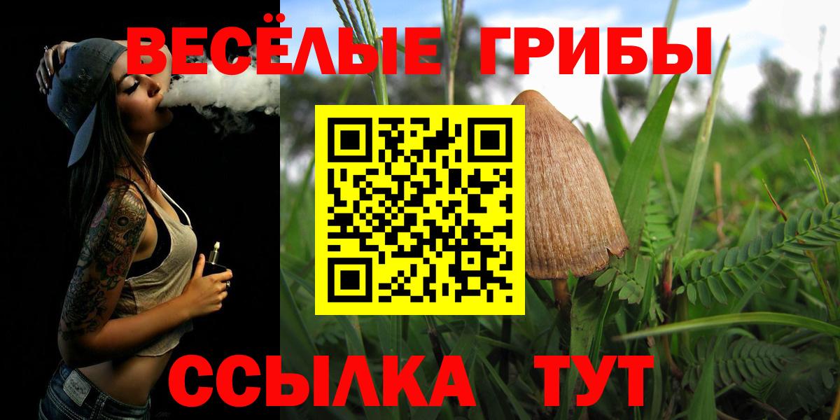 Псилоцибиновые грибы прущие грибы  дарнет шоп  Долгопрудный  Вход с VPN 